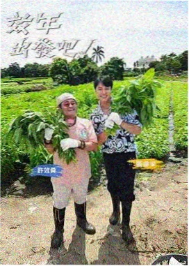 菊花大冒险 菊花影院